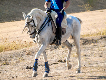 Low section of man riding horse