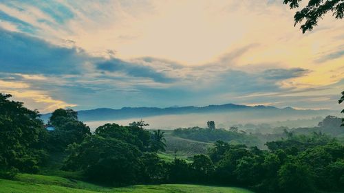 Scenic view of landscape against sky