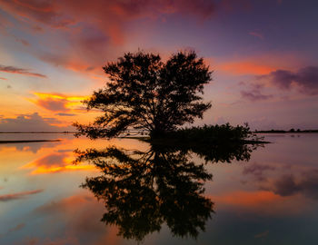 Silhouette tree by lake against romantic sky at sunset