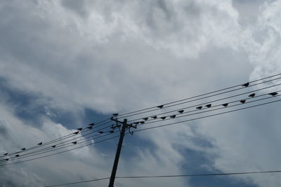 Low angle view of birds on cable against sky