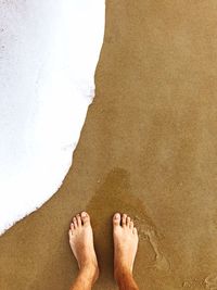 Low section of man standing on beach