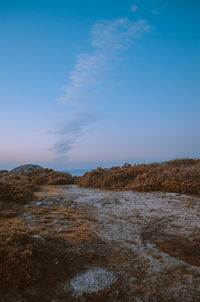 Scenic view of landscape against blue sky