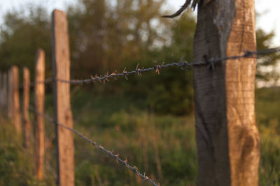 Close-up of barbed wire fence