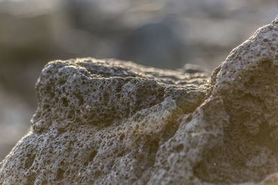 Close-up of rocks on rock