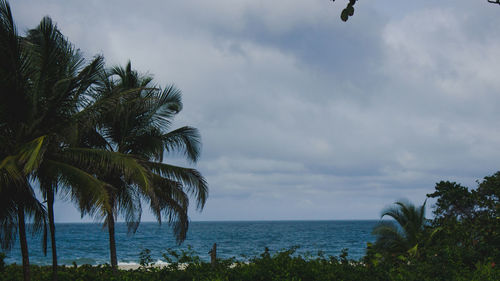 Scenic view of sea against cloudy sky