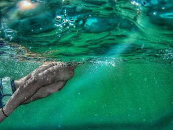 Midsection of man swimming underwater