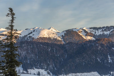 Panoramic view of mountain peaks with ski lifts at sunrise. walchsee, austria.