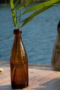 Close-up of leaves in brown bottle