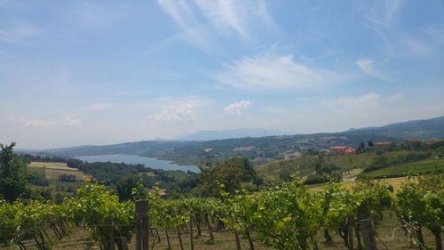 Scenic view of landscape against sky