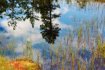 Scenic view of lake against sky