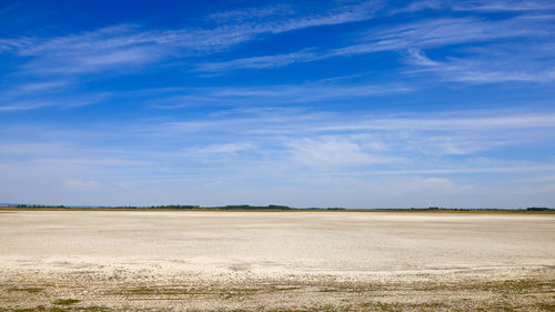 Landscape of dried lake in burgenland, austria, close to neusidler lake.