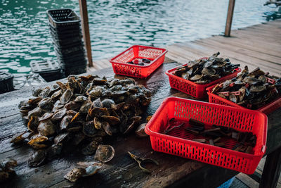 High angle view of oysters shells on pier over river