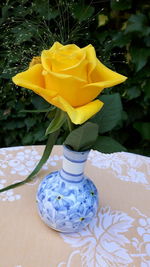 Close-up of yellow flower vase on table