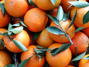 Full frame shot of oranges at market