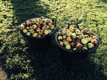 High angle view of apples in containers on grassy field