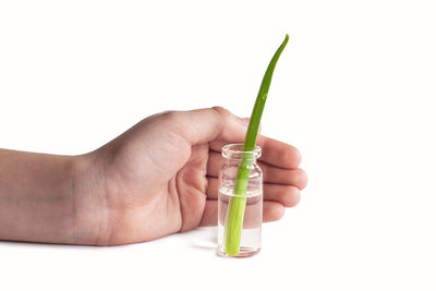 Close-up of hand holding food against white background
