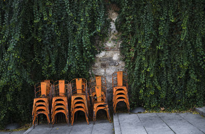 Orange outdoor chairs against plant wall. shot in madrid, spain