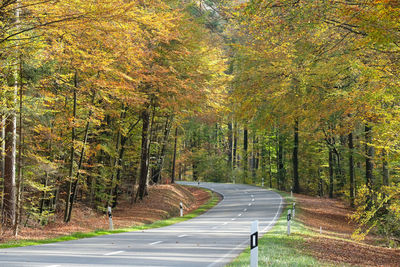 Road amidst trees in forest during autumn
