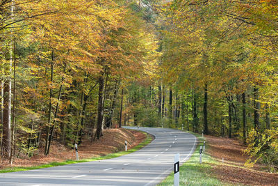 Empty germsn country road, landstraße, through mixed coniferous forests and autumn background.