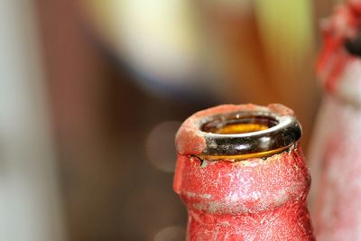 Close up of red leaf