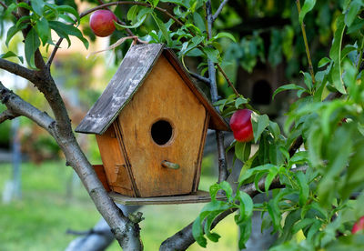birdhouse