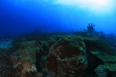 View of man swimming in sea