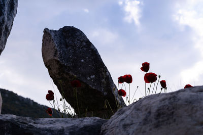 Low angle view of red rock formation against sky