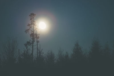 Silhouette of bare tree against moon in sky