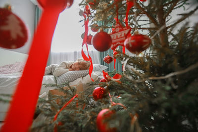 Close-up of christmas decoration hanging on tree