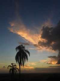 Silhouette palm trees against sky during sunset
