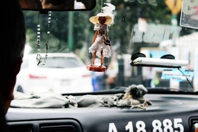 Dog seen through car windshield