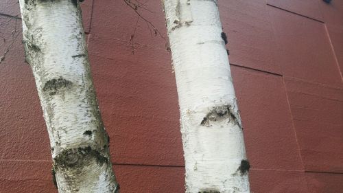 Full frame shot of water