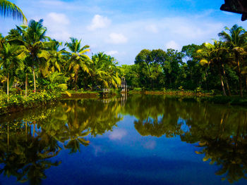 Reflection of trees in lake against sky