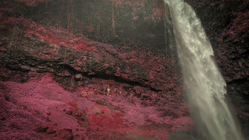 Water splashing on rock in forest