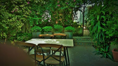 Empty chairs and table in yard