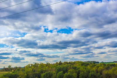 Low angle view of trees against sky