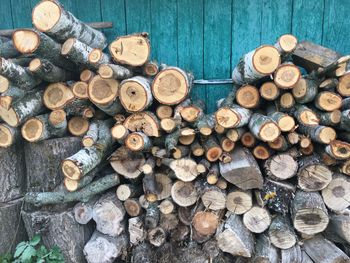 High angle view of logs in forest