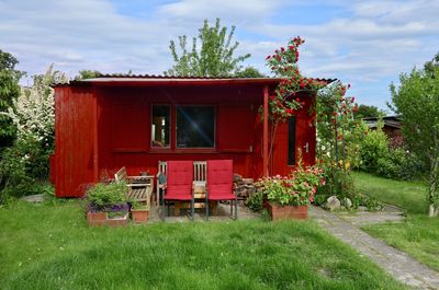 Red flowering plants on field against sky