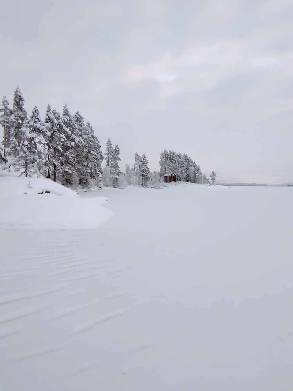 snow, cold temperature, winter, tree, environment, scenics - nature, landscape, nature, beauty in nature, forest, sky, land, plant, tranquil scene, coniferous tree, cloud, frozen, tranquility, pine tree, polar climate, pine woodland, pinaceae, non-urban scene, freezing, woodland, mountain, travel destinations, travel, water, no people, holiday, overcast, loneliness, copy space, white, tourism, outdoors, piste, fog, vacation, trip, day, storm, ice, idyllic, evergreen tree, snowcapped mountain, remote, rural scene