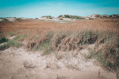 Scenic view of land against sky