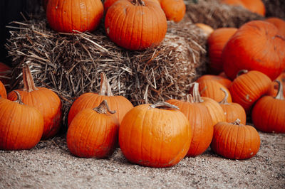 Pumpkins for sale