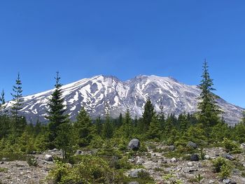 Scenic view of snowcapped mountains against clear blue sky