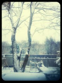 winter