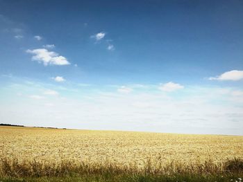 Scenic view of field against sky