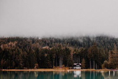 Scenic view of lake against trees during foggy weather