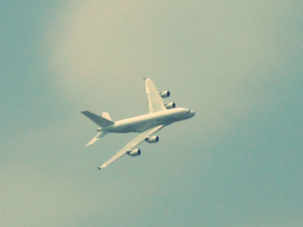 LOW ANGLE VIEW OF BIRD FLYING IN SKY