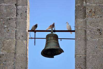 Low angle view of pigeons perching on street light