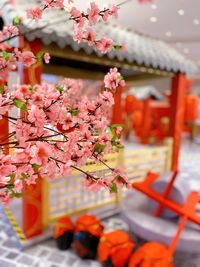 Close-up of pink cherry blossom tree