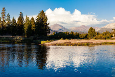 Scenic shot of reflection of trees in calm lake