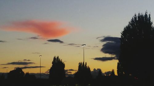 Silhouette of trees at sunset